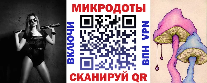 закладка  мега как войти  Галлюциногенные грибы Magic Shrooms  Рубцовск 